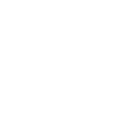 TS8